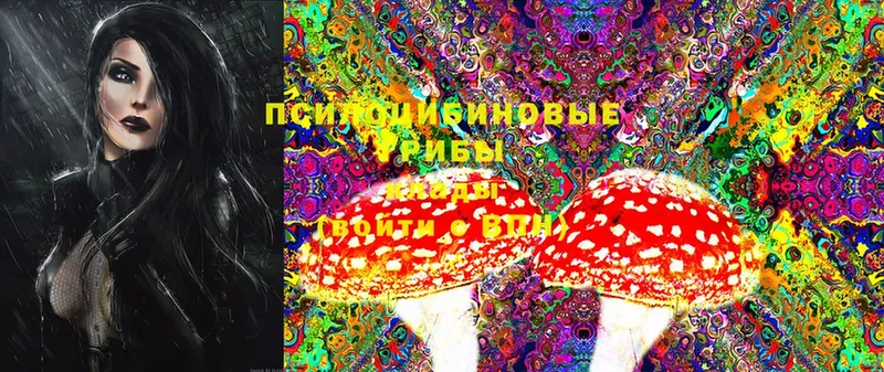 Псилоцибиновые грибы MAGIC MUSHROOMS  купить закладку  Шимановск 